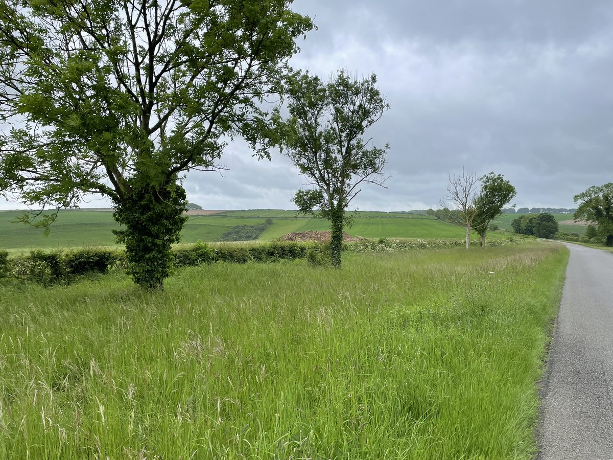 Great morning in the #Lincolnshire #Wolds recording our latest @LincsWildlife Trust #WilderLincolnshire podcast. Taking a look at “Protected Roadside Verges”. But if you haven’t heard our May “Dawn Chorus” yet here’s a link podcasters.spotify.com/pod/show/lincs… #Wildlife #Nature #Conservation