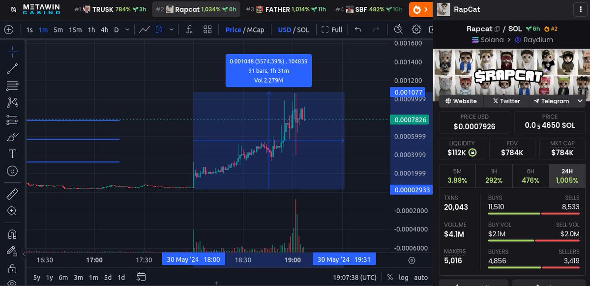 MemeCoin Whale Pumps tweet media