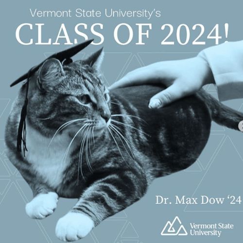 Stoopid yankee Tricks – Vermont cat earns honorary doctorate in ‘litter-ature’ southernnation.org/humor/stoopid-… #FreeDixie #DeoVindice #FJB