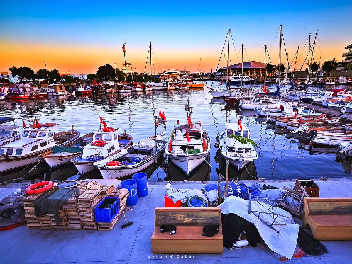 SuGraphic's tweet photo. Once upon a time ..
Sunset Bakırköy Marina 2013 🧡⛵💙
Bakırköy, İstanbul, Türkiye
#Marina #Yachts
#Boats #Tekneler #Yatlar
#SunsetPhotography 📷
#Seaside #Port #Kozaa #TFSF
#BakırköyMarina #Bakırköy #YatLimanı 💙
#Cityscapes #Cities 💫 https://t.co/Qleg0hZUWh
