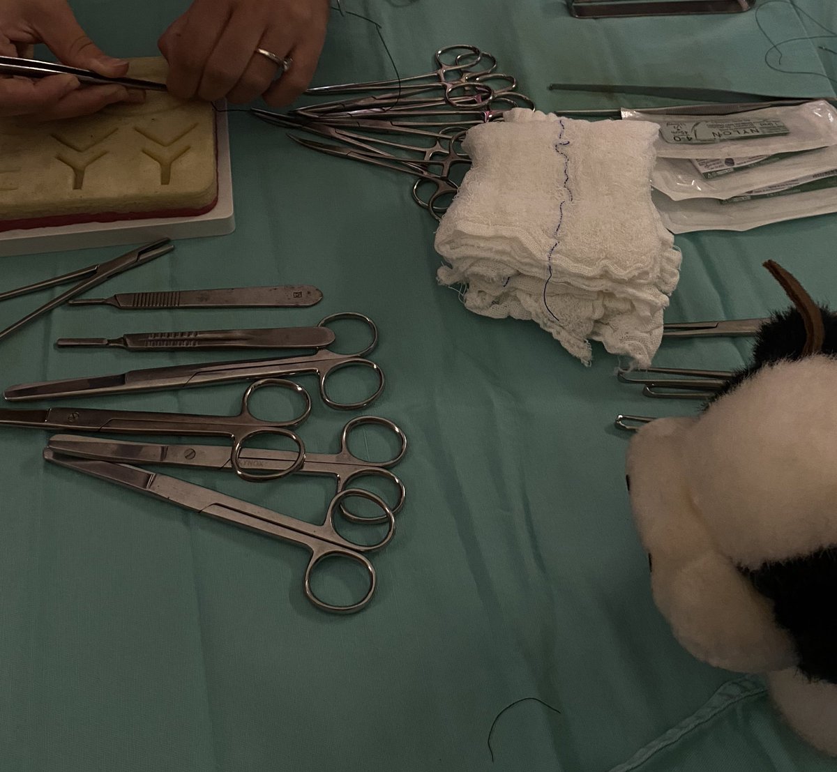 studslala's tweet image. 𝜗𝜚 search: #studytwt * #studytwtbr

ʚ novo fixado

   ✶ laura
   ✶ medicina veterinária - UFG
   ✶ focando apenas no ENEM
   ✶ cursando no Ferretto

⠀♡⃨  música, pinterest, treinos e mais algumas coisinhas.