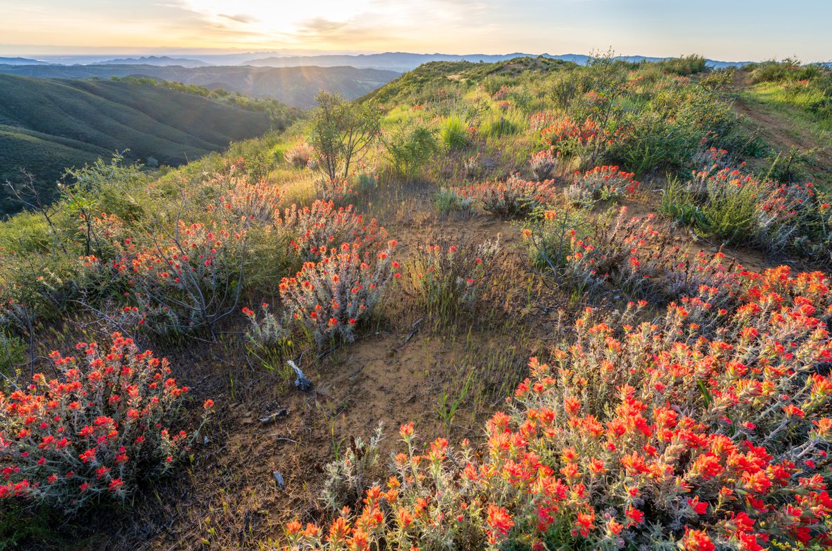 From restoring wetlands and building new parks to reconnecting wildlife habitat and expanding access to the outdoors, the 'America the Beautiful' initiative is accelerating conservation efforts across the country.

Photo at Berryessa Snow Mountain National Monument