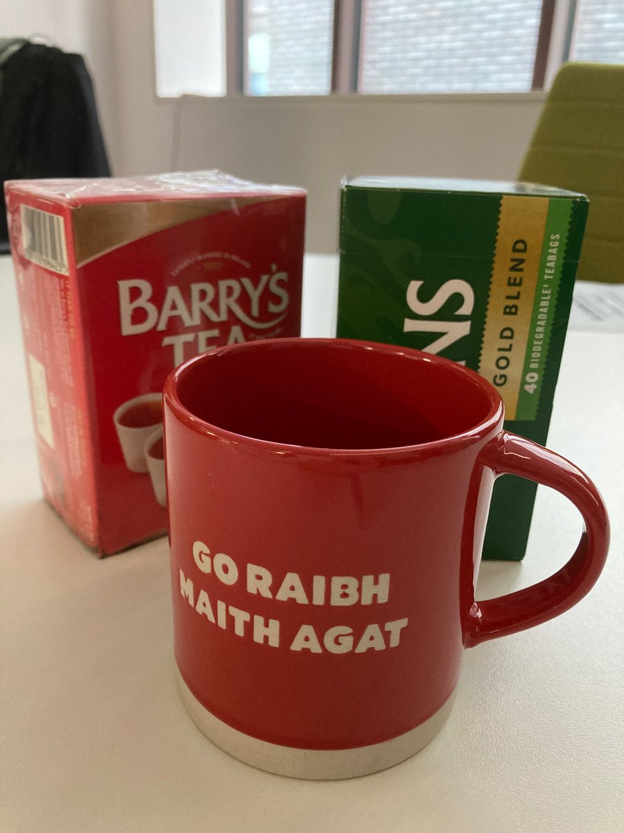 Teaching our Turkish, Romanian and Portuguese friends about great Irish rivalries! #lyonsvbarrys #BloomingDigital!