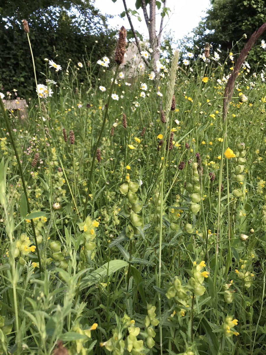 Prof Duncan Westbury tweet media