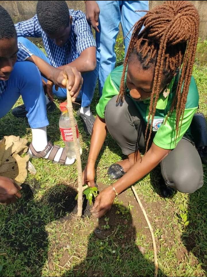 GlobalImpact_AM's tweet photo. @davido @blknoiz06 I'm looking forward to raising orchards for 100 schools in your name. This will nourish an average of 50,000 students annually.
In 10 years, over 5millions students would have benefited.

I'm open to further discussion on this.
+2347084020330.
@WholePlanet_I
Remain ever blessed. https://t.co/dA2rxmyFHy