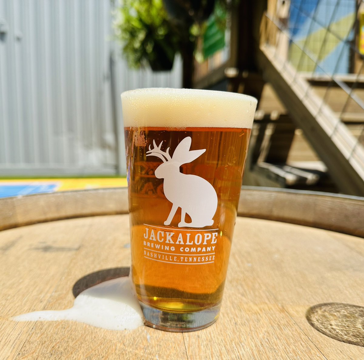 Thursdays got us thirsty for Thunder Ann 🤤

This beer is brewed to highlight citrusy American hops — making it a friendly, yet bold American Pale Ale. She gets her name from TN-native Davy Crockett’s mythical wife, Sally Ann Thunder Ann Whirlwind Crockett: A true frontierswoman