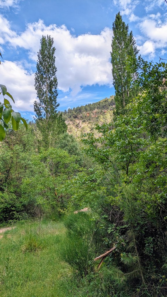 🏞️💧BATÁN DE BOGARRA Y RUTA DE LAS ESCULTURAS - 12/05/2024 | Entorno del Batán de Bogarra en una verde primavera tras las lluvias de los últimos meses. Al fondo el Padrastro con sus 1.503msnm. #SierraDeAlcaraz #SierraDelSegura #Albacete #meteoAB (2/6)