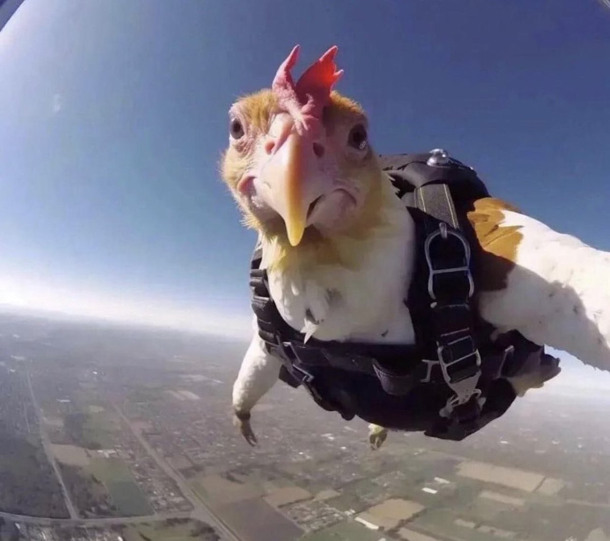 insane poses tweet media