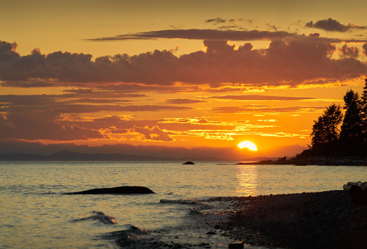 DarlingAxe's tweet image. 🖋️ Escape to the Sunshine Coast this February! 

Join our Rainforest Writing Retreat for workshops, writing time, and inspiration. 🌲✨ 

Contact: editors@darlingaxe.com 

darlingaxe.com/pages/author-r… 

#writingretreat #amwriting #writingcommunity