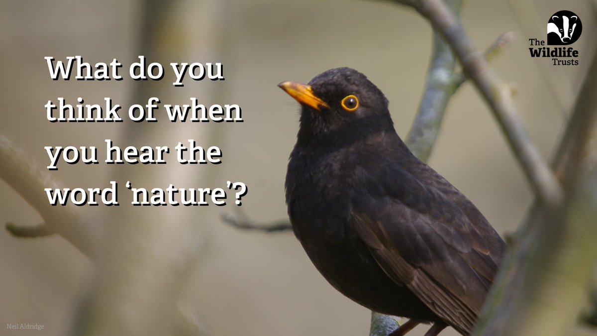 We launched The Great Big Nature Survey, designed to give you a say on nature and wildlife. 💚 How often do you get out into nature? How important is nature to you? We want to know your views on all this and more! 💪 wildlifetrusts.org/great-big-natu…