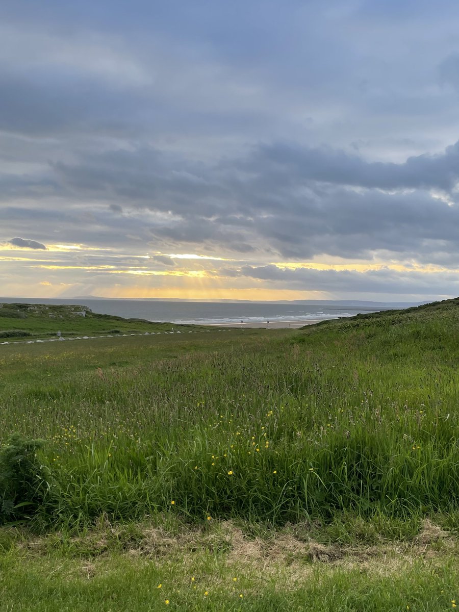 Helen Bushell tweet media