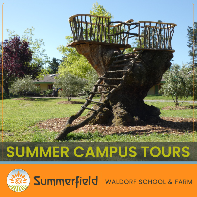 Summerfield Waldorf School & Farm tweet media