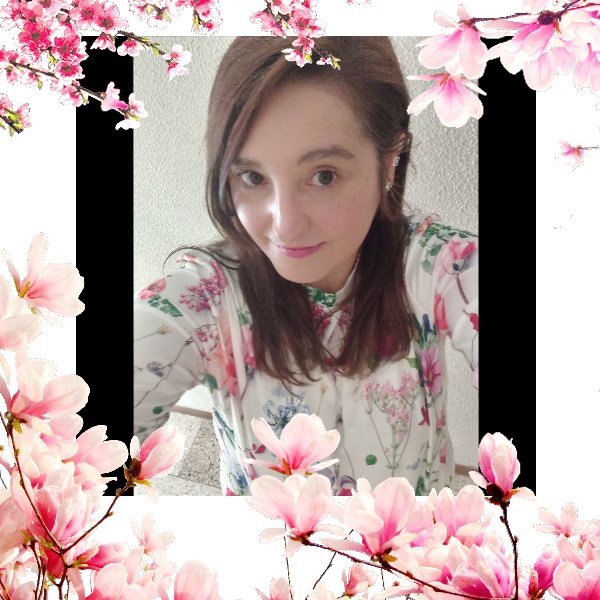 Lauragc tweet media