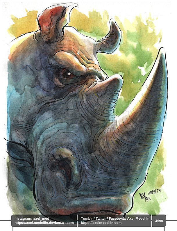 #dailydrawing 4699 #dibujodiario #drawingoftheday #horn #rhino #rhinoceros #elephantmen #scifiart #watercolor #brushandink #traditionalart Less than 3 days to go on the Elephantmen Kickstarter! kickstarter.com/projects/comic…