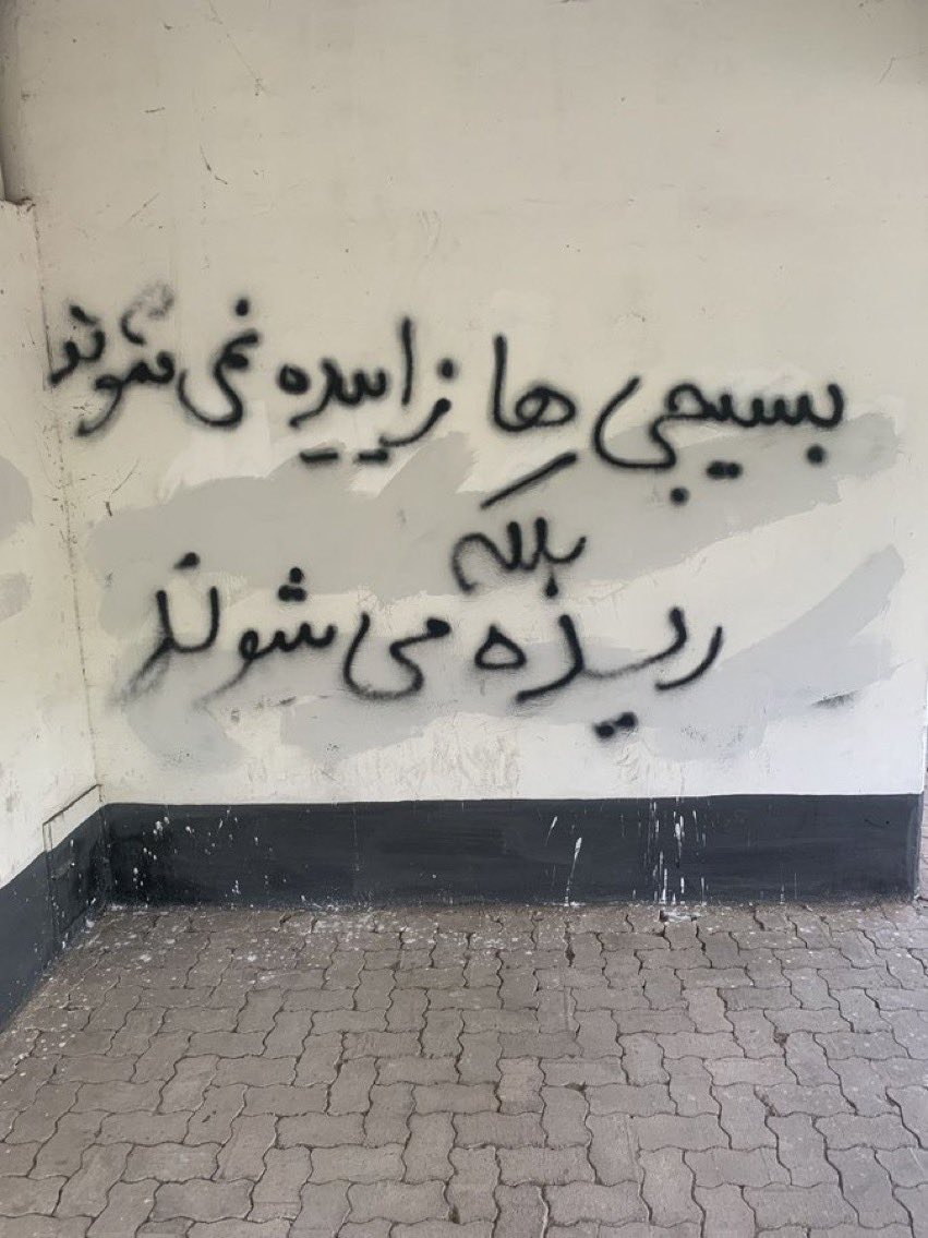 GolbargHaghgoo's tweet photo. بسیجی‌ها زاییده نمیشوند
بلکه
ریده میشوند
#IRGCterrorists
#مهسا_امینی https://t.co/aMfWVCJiN4