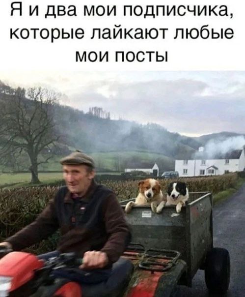 Болконский tweet media