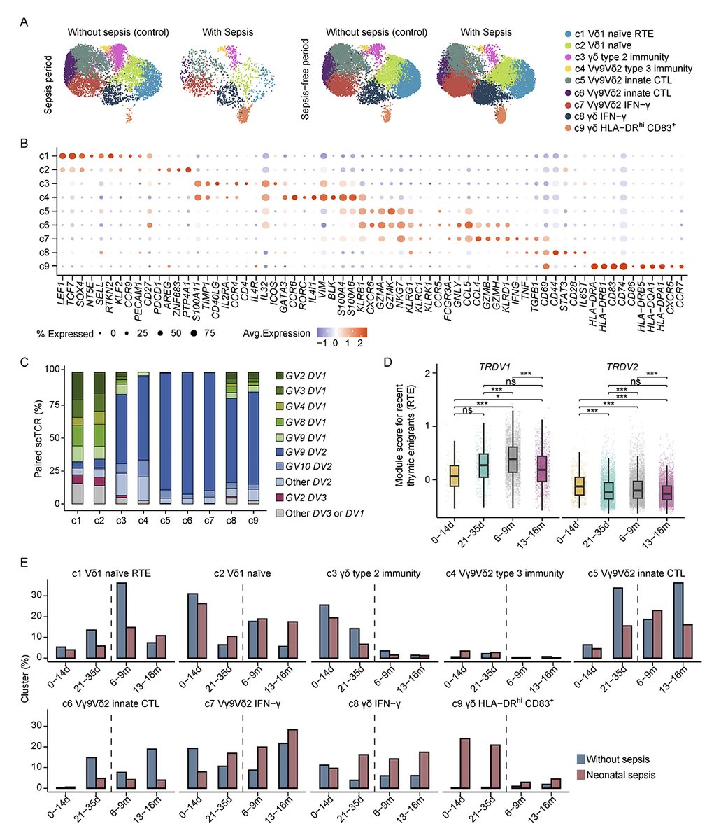 By investigating γδ T cells in a longitudinal cohort of preterm neonates, León-Lara, <a href="/SarinaRavens/">Sarina Ravens</a> et al. @MHH_life provide a map of the maturation of γδ T cells after preterm birth and highlight their phenotypic diversity in infections. hubs.la/Q02xrps60