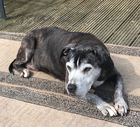 Oldies Club tweet media