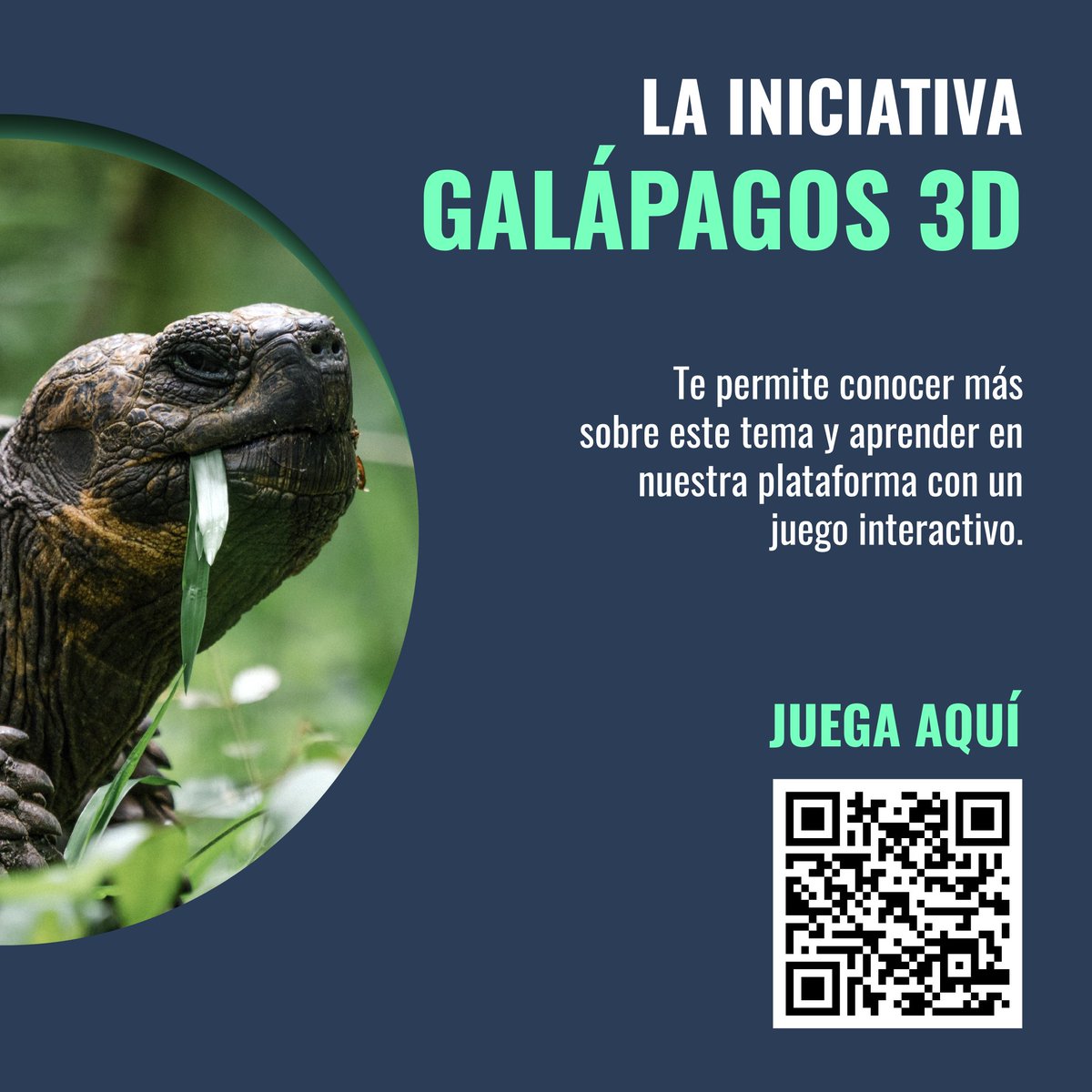Fundación Circular (@circularec) on Twitter photo ¡Las #Galápagos necesitan tu ayuda!
Participa en nuestro juego interactivo y aprende a separar tus residuos para proteger este paraíso. ✨
Una iniciativa de: <a href="/PADFecuador/">PADF Ecuador</a>, CISCO Foundation y <a href="/CircularEC/">Fundación Circular</a> en la búsqueda de un futuro sostenible.
Juega aquí: somosgalapagos.padf.org ¡Las #Galápagos necesitan tu ayuda!
Participa en nuestro juego interactivo y aprende a separar tus residuos para proteger este paraíso. ✨
Una iniciativa de: <a href="/PADFecuador/">PADF Ecuador</a>, CISCO Foundation y <a href="/CircularEC/">Fundación Circular</a> en la búsqueda de un futuro sostenible.
Juega aquí: somosgalapagos.padf.org