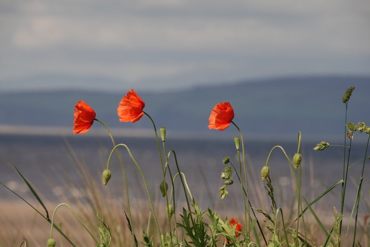 View from Nairn, Highlands, today