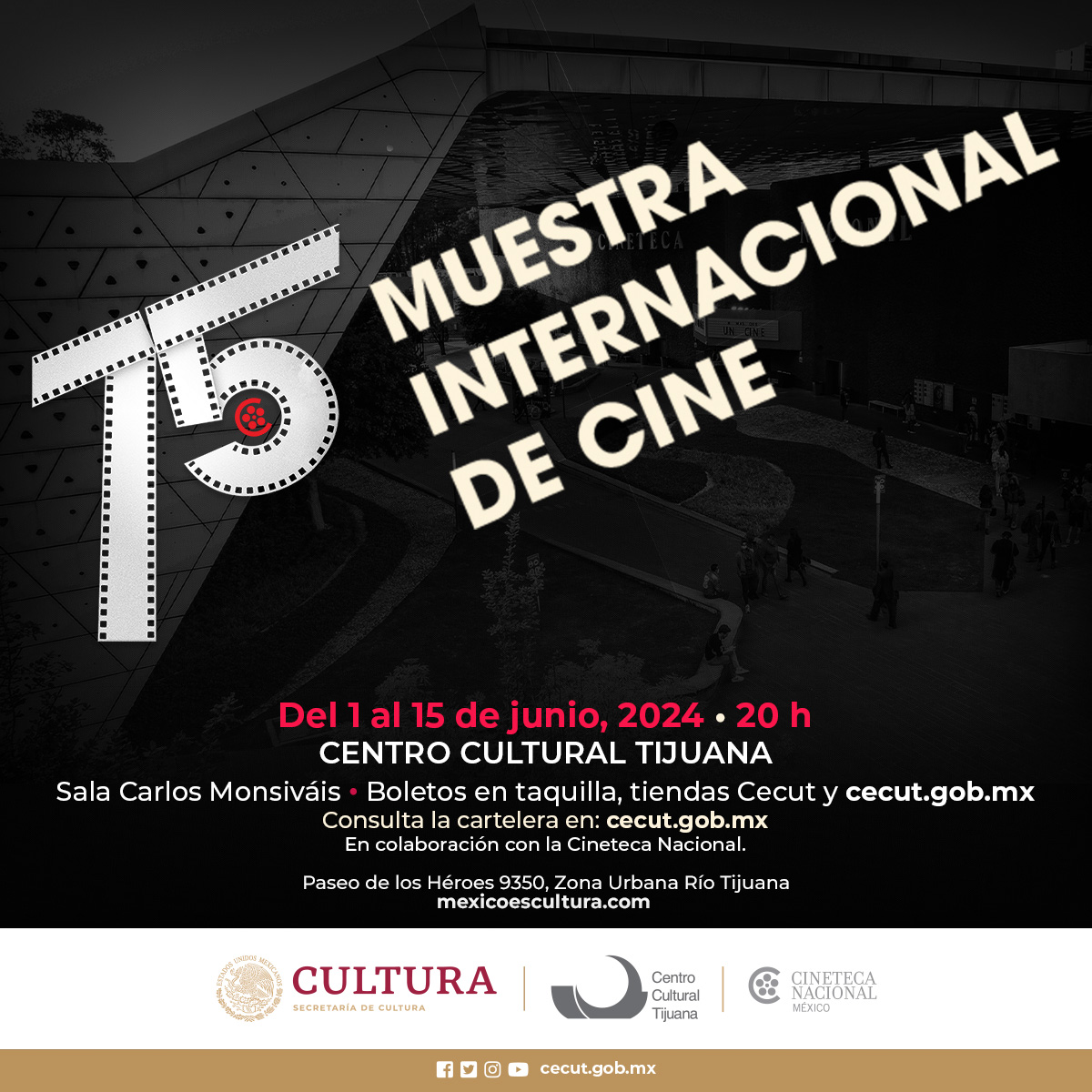 cecut_mx's tweet image. #Mañana arranca la 𝟳𝟱 𝗠𝘂𝗲𝘀𝘁𝗿𝗮 𝗜𝗻𝘁𝗲𝗿𝗻𝗮𝗰𝗶𝗼𝗻𝗮𝗹 𝗱𝗲 𝗖𝗶𝗻𝗲📽
Lo mejor de la cinematografía 🎬 en la #CinetecaTijuana

📅Del 1 al 15 de junio, 2024
¡Conoce el programa y adquiere tus boletos!
🎟bit.ly/3bDT32Z

 #Septimo #75MuestraInternacionaldeCine