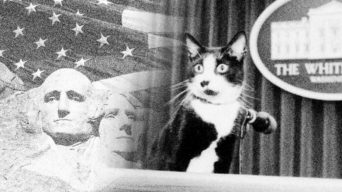 socks_solana's tweet photo. @blknoiz06 $SOCKS IS OUR NEW PRESIDENT!

https://t.co/Va7bMtHAeW https://t.co/vwHMES6ezi