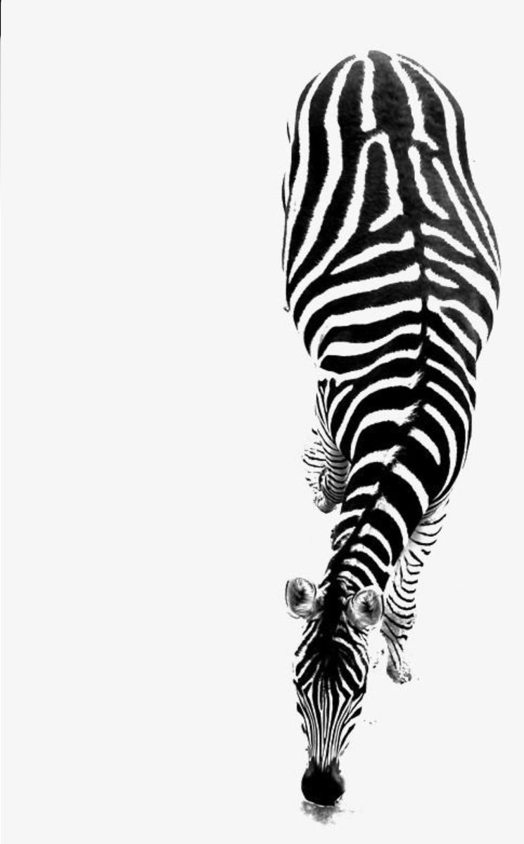WithInfused's tweet photo. PLAYER real estate… #black #white #blackandwhite https://t.co/c7TdvcMJUl