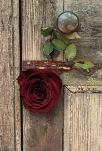 Ayfer Çağatay 🇹🇷 tweet media