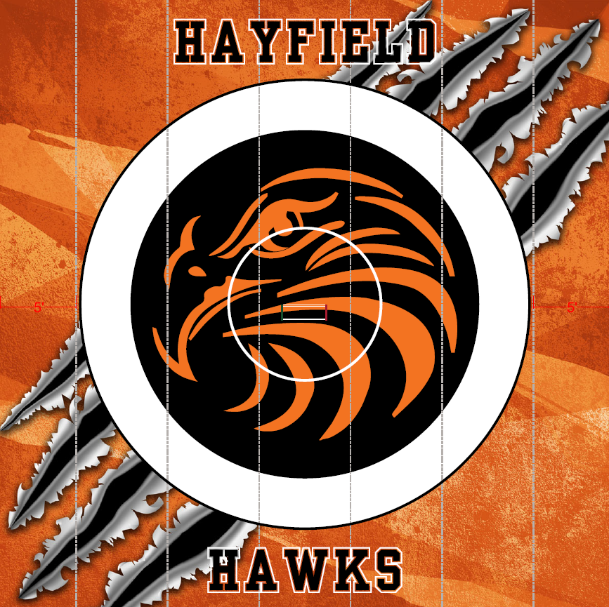 New Wrestling mat for the HAWKS!!!