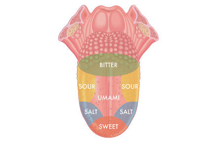 Duke GI (@duke_gi_) on Twitter photo The Textbooks Were Wrong About How Your Tongue Works.
Taste perception is a remarkably complex process. Check out the NYT article with Diego Bohorquez PhD <a href="/gutbrains/">The Bohórquez Lab</a> on taste receptors from the latest gut-brain research #neuropods #gutbrain #trustyourgut duke.is/5/2h8b The Textbooks Were Wrong About How Your Tongue Works.
Taste perception is a remarkably complex process. Check out the NYT article with Diego Bohorquez PhD <a href="/gutbrains/">The Bohórquez Lab</a> on taste receptors from the latest gut-brain research #neuropods #gutbrain #trustyourgut duke.is/5/2h8b