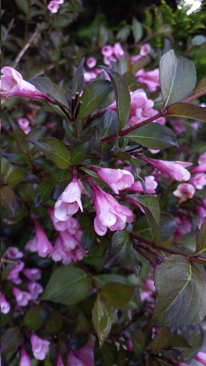 Безмежне небо tweet media