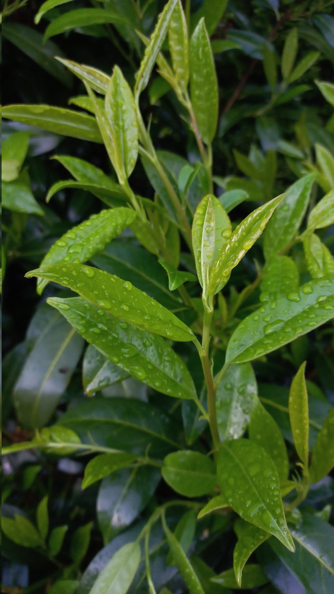 Безмежне небо tweet media