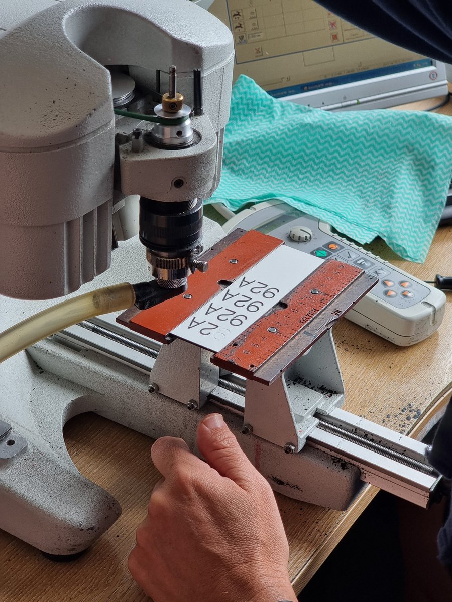 Waterbird Colour-marking Group tweet media