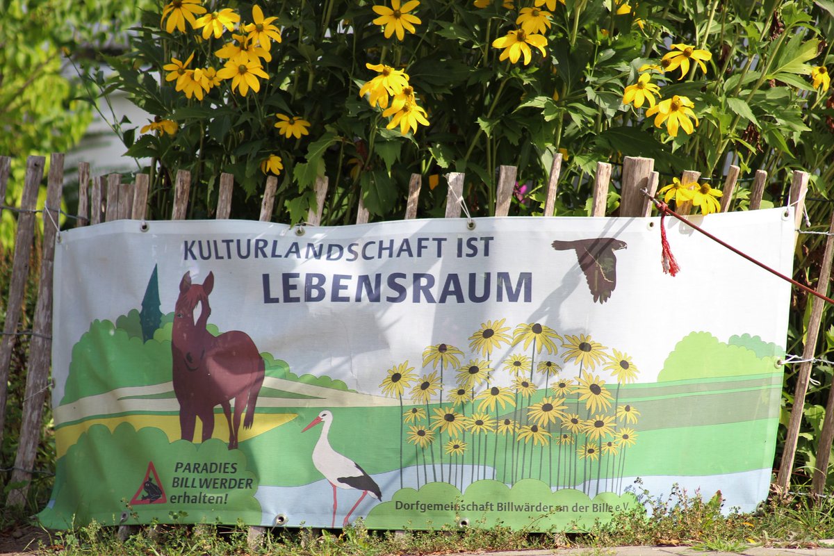 Unser Infostand ist am Samstag 01.06.24, 10-14 Uhr am Sachsentor 15 (vor Kaffee Timm). Gern informieren wir über den Stand der Dinge zu #Oberbillwerder.  
Noch ist Oberbillwerder nicht gebaut! 💪 
#Bergedorf #Hamburg