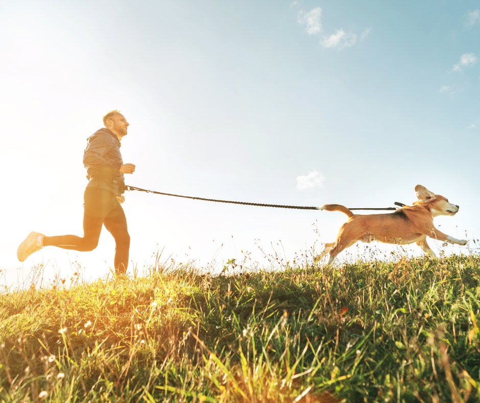 Working out is easier when you've got your best friend by your side 😍 #ASPDallas #DallasTX #PlanoTX #RichardsonTX #CarrolltonTX #GarlandTX #FlowerMound #McKinneyTX #AllenTX #UniversityPark #HighlandParkTX #MotivationMonday #MondayMotivation