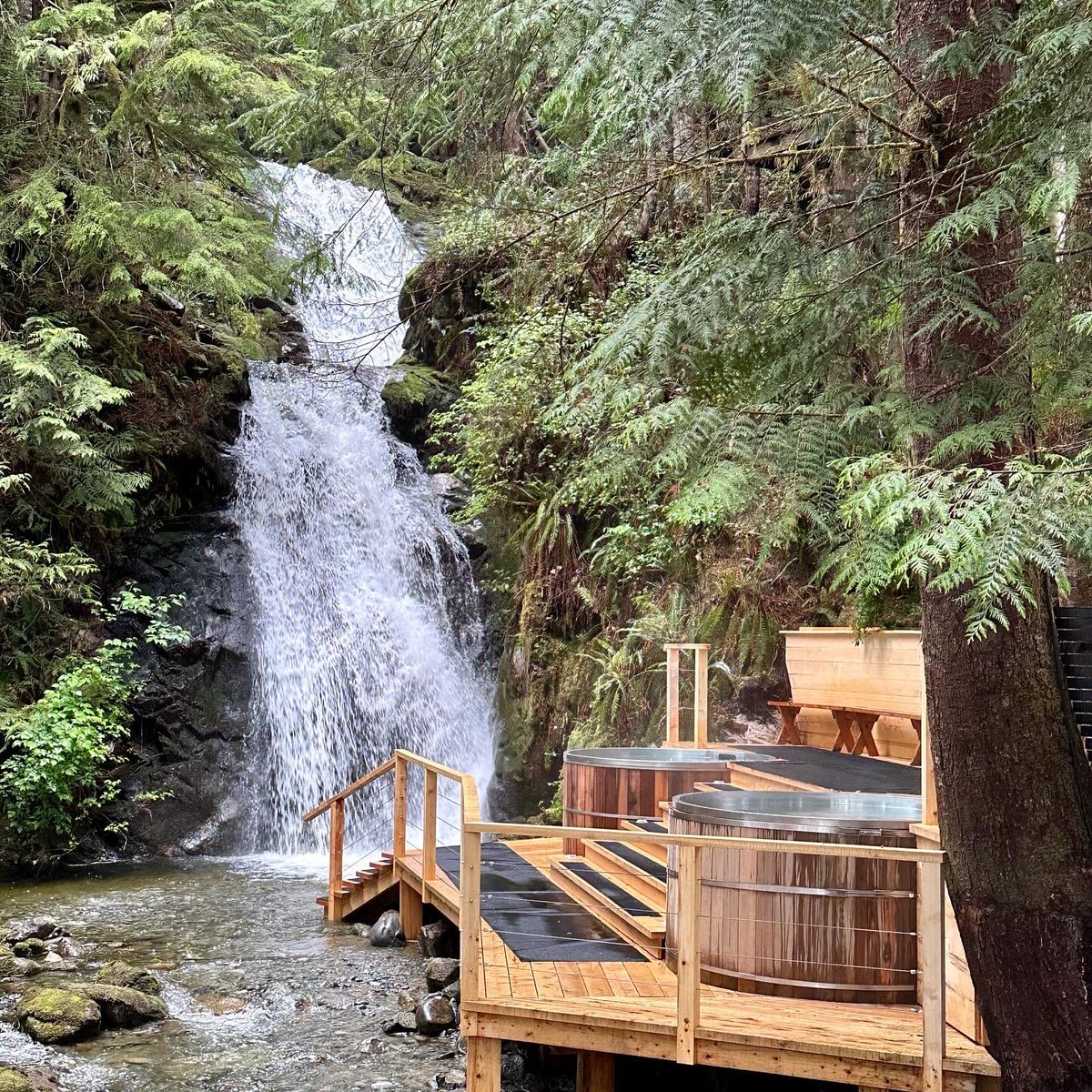 Jared Smith tweet media