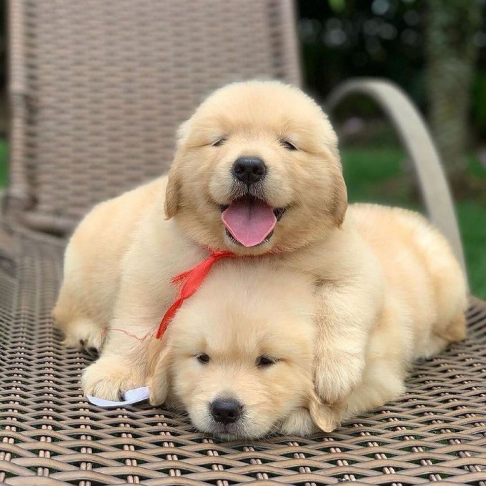 (いつも私が下なんだよな…)