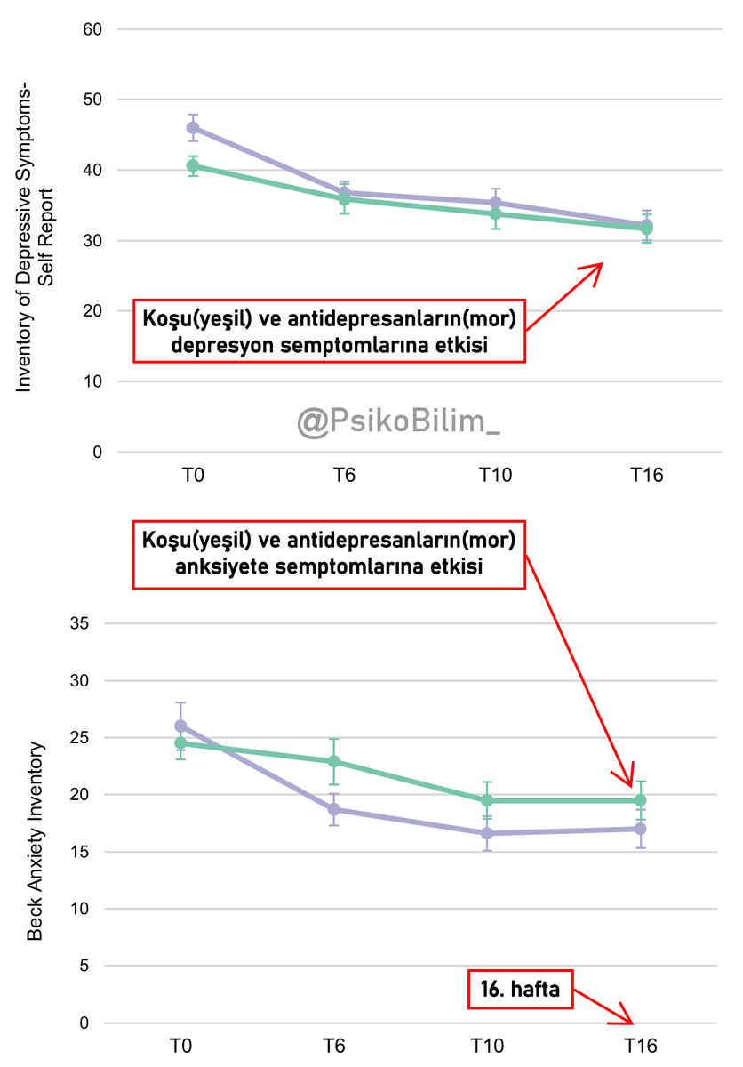 Haftada 2-3 kere 30 dakika koşu yapmak anksiyete ve depresyon semptomlarımızı hafifletmede antidepresanlar kadar etkili oluyor.
