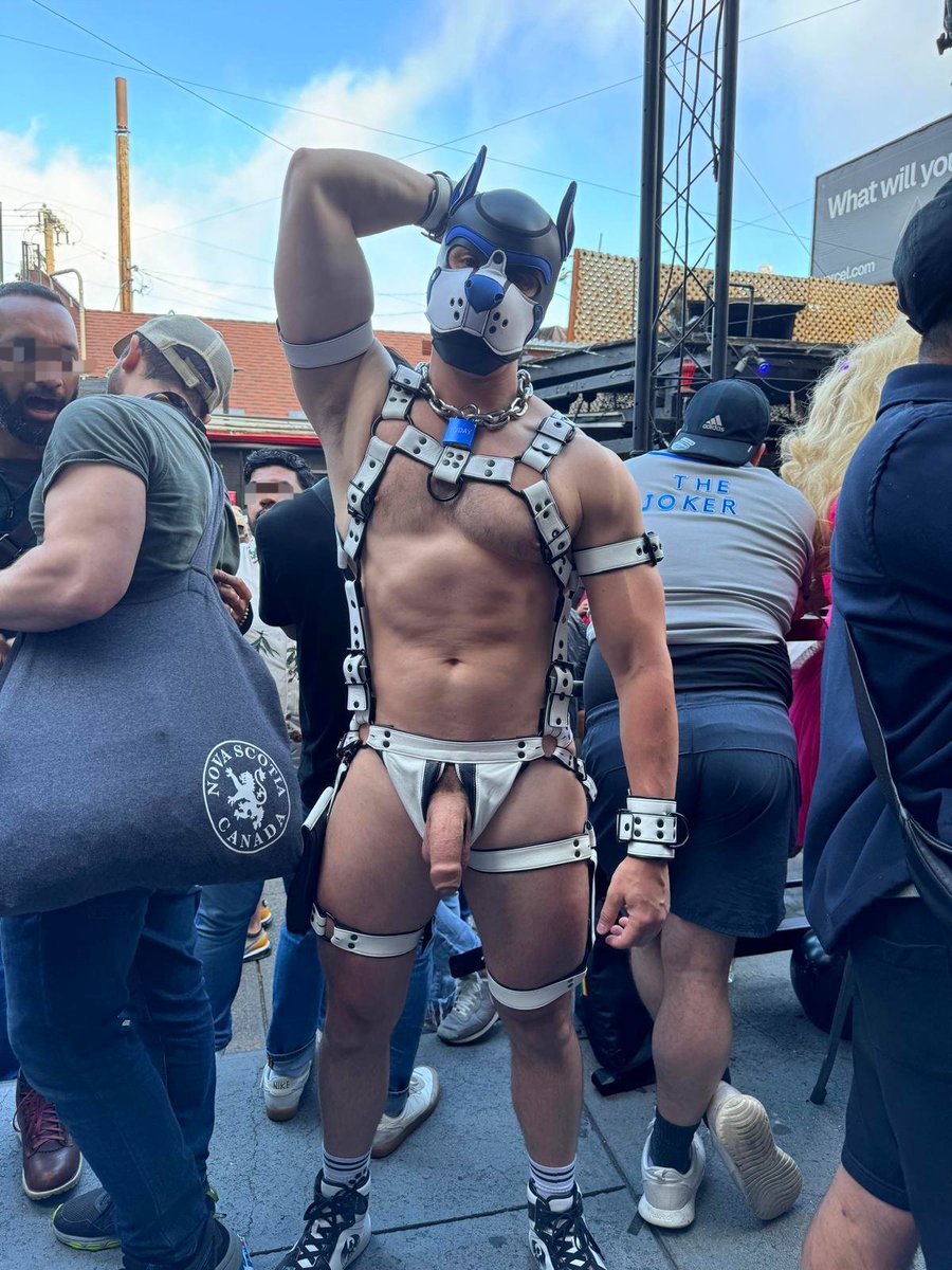 Pup Buday tweet media