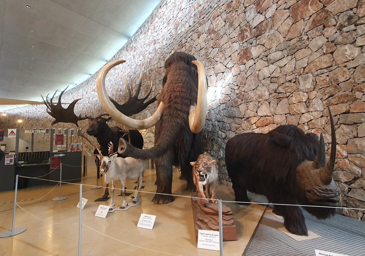 DAAC-Nice tweet media