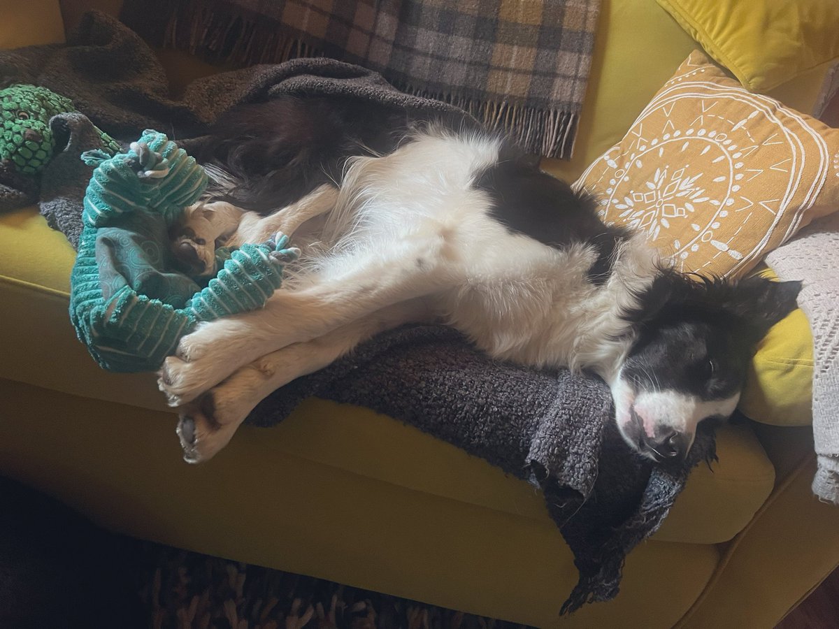 EscapedHere's tweet image. Will not let go of hippo. #sparkout