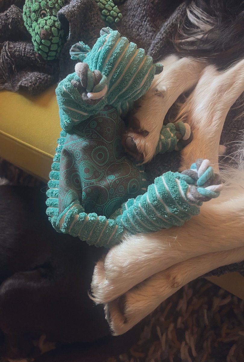 EscapedHere's tweet image. Will not let go of hippo. #sparkout