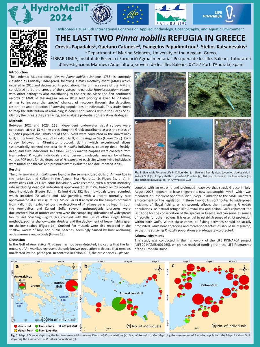 Orestis Papadakis_Marine Ecology (@marineorestis) on Twitter photo "THE LAST TWO Pinna nobilis REFUGIA IN GREECE" Poster at 5th International #HydroMedit Congress on Applied Ichthyology, Oceanography, and Aquatic Environment, Mytilini, 30 May-02 June 2024. In the framework of the LIFE PINNARCA (<a href="/LPinnarca/">LIFE_PINNARCA</a>) project. Funded by
<a href="/LIFEprogramme/">LIFE Programme</a>. "THE LAST TWO Pinna nobilis REFUGIA IN GREECE" Poster at 5th International #HydroMedit Congress on Applied Ichthyology, Oceanography, and Aquatic Environment, Mytilini, 30 May-02 June 2024. In the framework of the LIFE PINNARCA (<a href="/LPinnarca/">LIFE_PINNARCA</a>) project. Funded by
<a href="/LIFEprogramme/">LIFE Programme</a>.