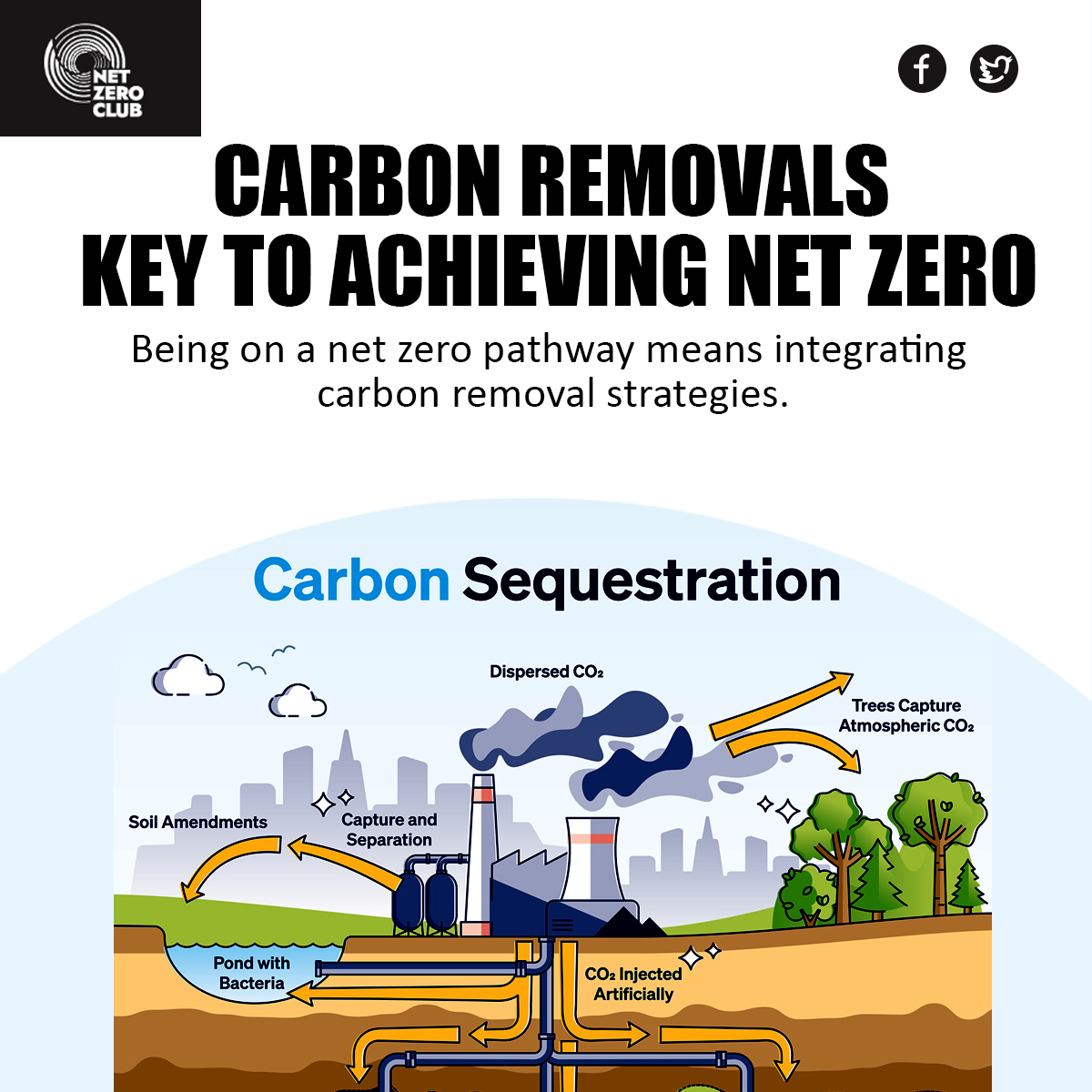 We had the privilege of speaking with Simon Manley, the Head of Carbon at UNDO, a pioneering carbon removal company, as part of our exclusive Big Zero Briefing. Visit net-zeroclub.co.uk to learn more. 
#carbonremoval #netzero #climateaction  #carbonoffsetting