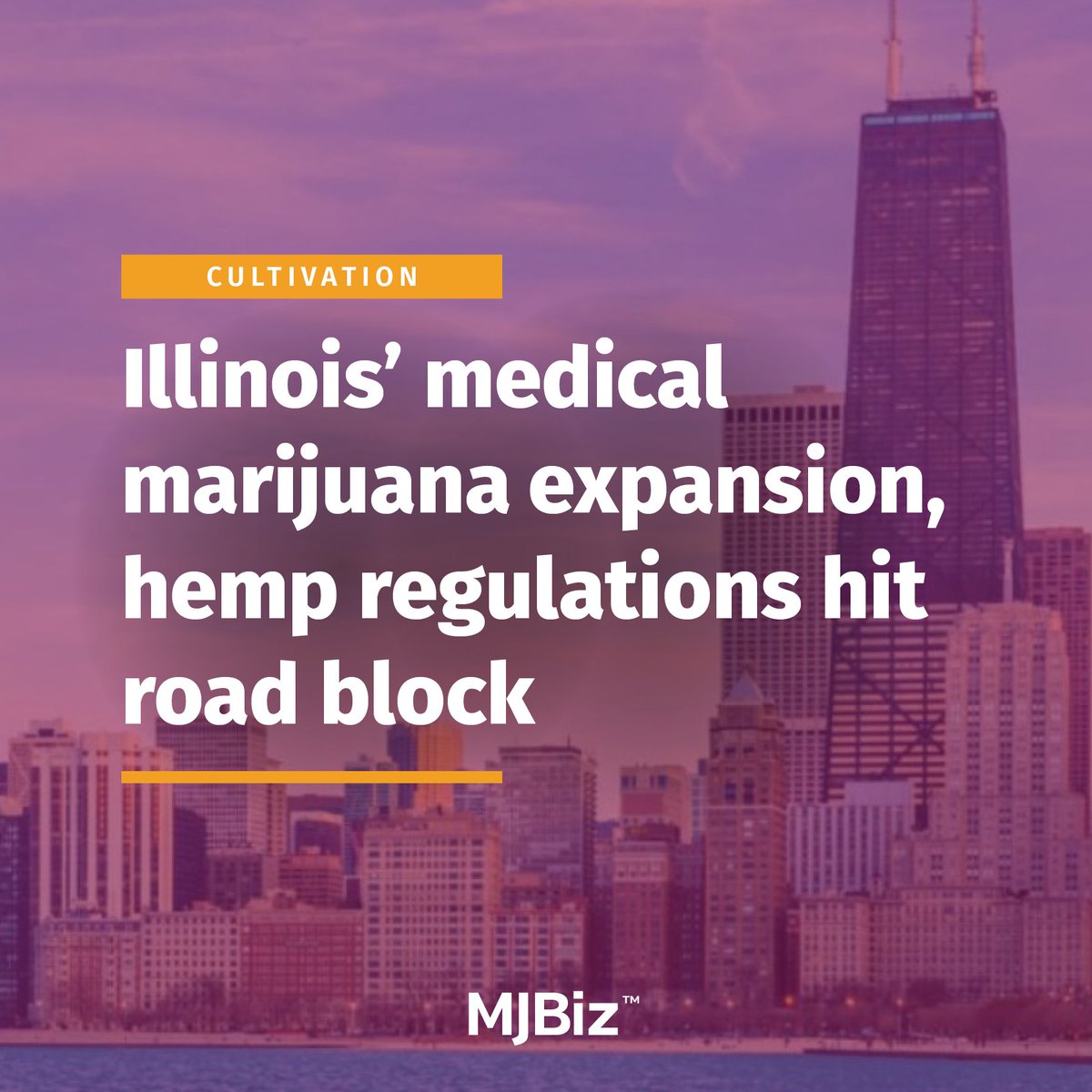 #Illinois lawmakers ended a legislative session without addressing medical #marijuana expansion or regulations for #hemp products. Overlooked? Let's find out: bit.ly/4e48RL8 (Photo via pigprox/stock.adobe.com)