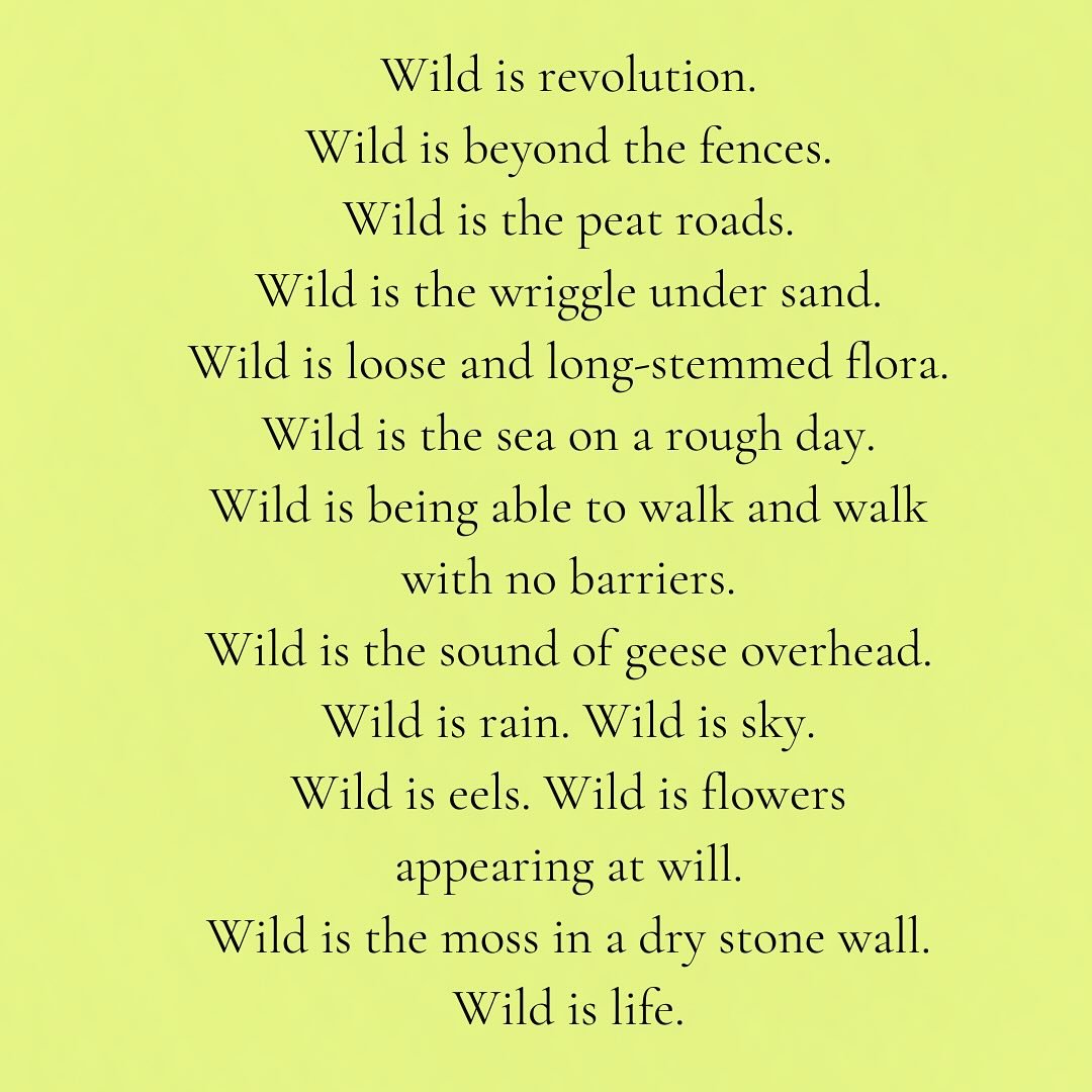 'What is wild?' Here are just a few of the stunning responses from our Rewilding Poetry Zoom workshop, which I'll be running again on June 13th. All proceeds will go to Bridestones Rewilded. For all the info and to book your place, head over to Eventbrite. eventbrite.co.uk/e/rewilding-po…