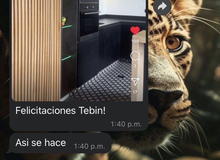 elEstebi1's tweet photo. Y llega un día en que de verdad te la cres y te das cuenta lo crack que eres en lo que haces 🙌🏻🙌🏻 y lo gratificante que es que te reconozcan y feliciten por tu labor 🙌🏻🙌🏻Amando el proceso, amando mi trabajo, amando lo que hago 🔝 https://t.co/paowWDsyyD