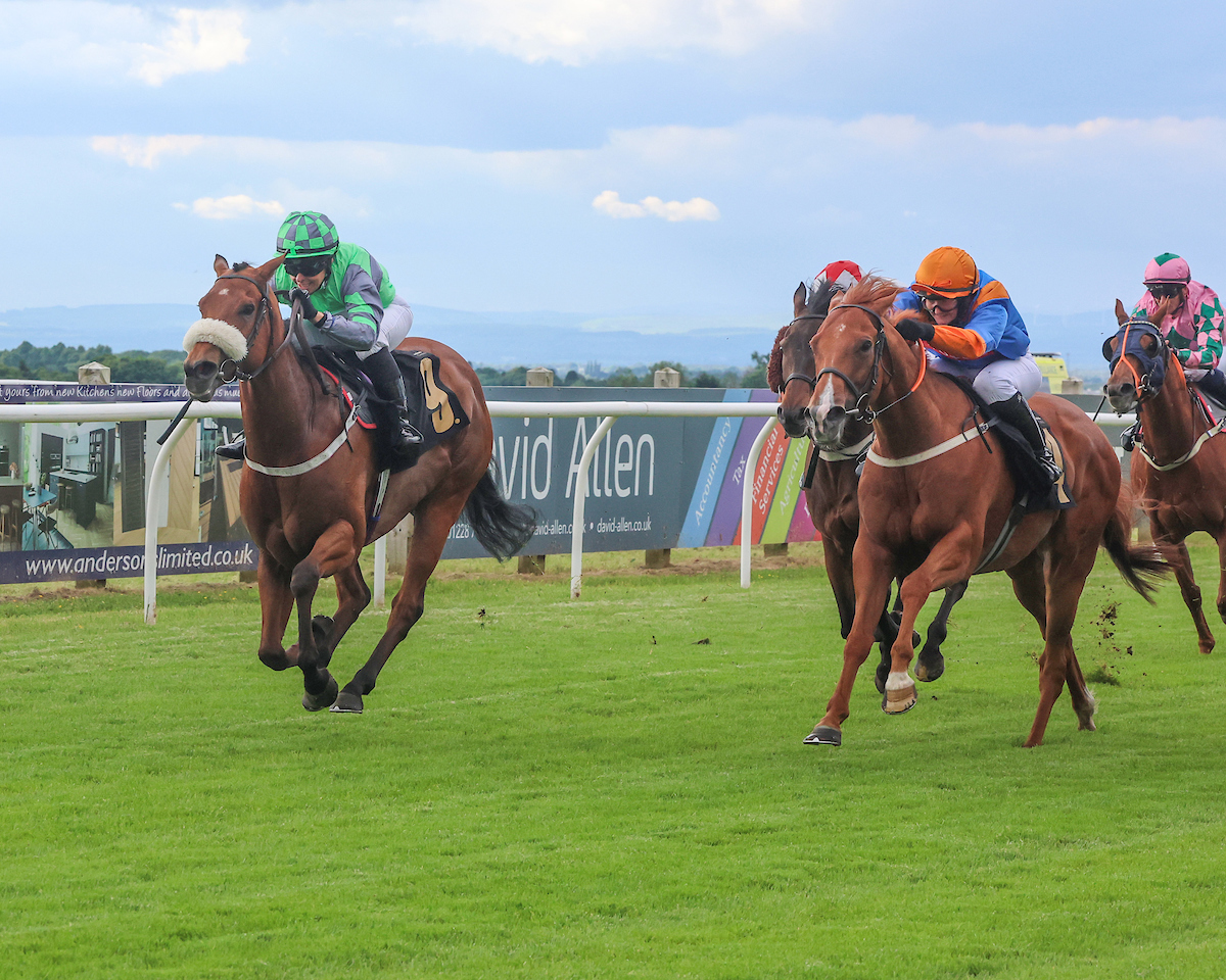 CarlisleRaces's tweet photo. A great evening of racing for our first fixture of this weeks double header🏇

Enjoy some 📸 of our winners tonight, there were some great races with some well priced winners!

Tickets are available online until midnight tonight for tomorrows fixture👉https://t.co/t3gffW9sJB https://t.co/VcPRH83bIz