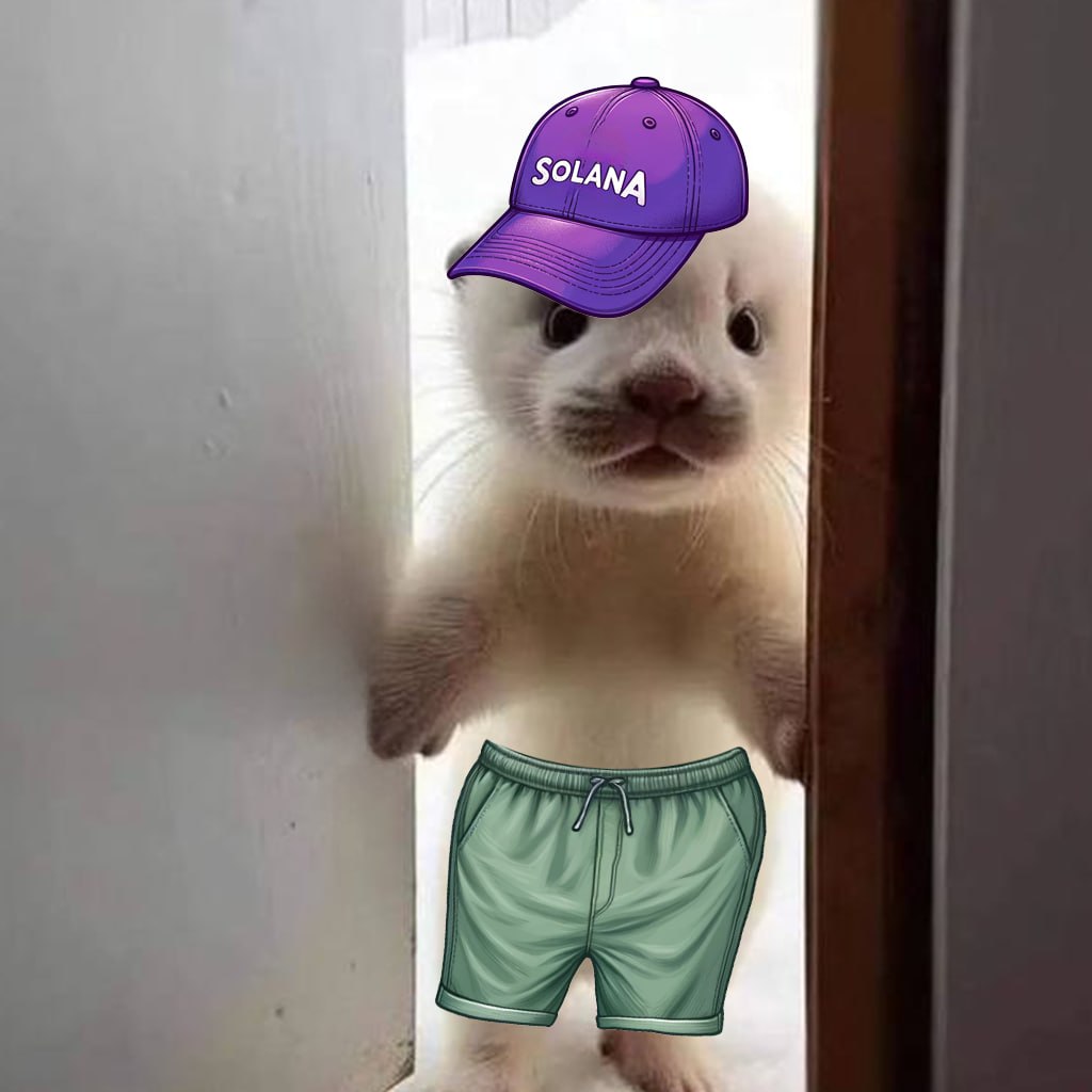 lucy is ready for summer