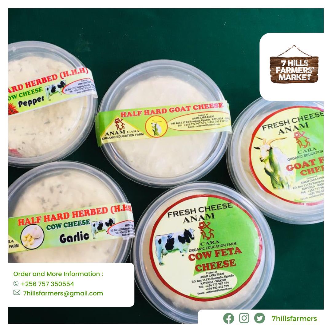 A world of cheese in one place! Explore the flavors: creamy cow feta, tangy goat feta, savory garlic & pepper cow cheese, and rich half-hard goat cheese - #cheeselovers #cheeseboard #gourmet